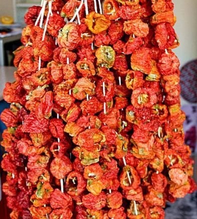 Kurutulmuş Dolmalık Biber 50 Adet